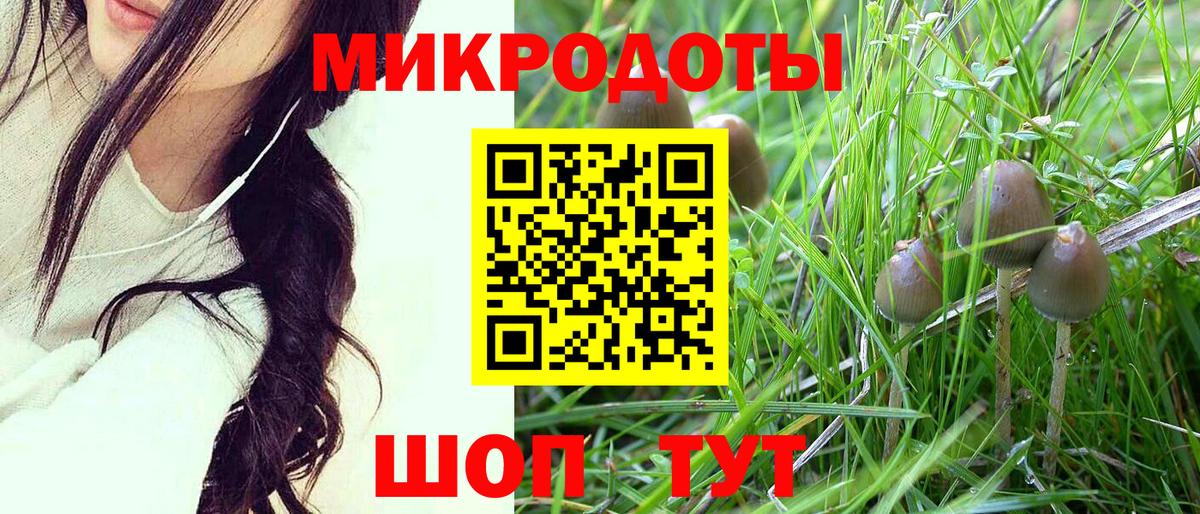 Галлюциногенные грибы Златоуст