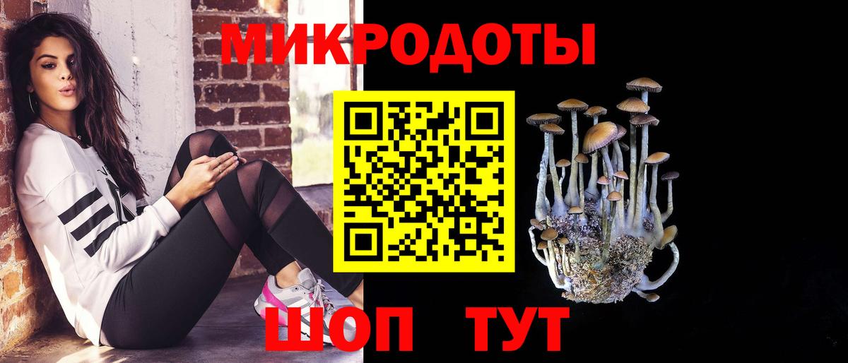 Златоуст  Псилоцибиновые грибы Psilocybine cubensis  Вход с VPN 