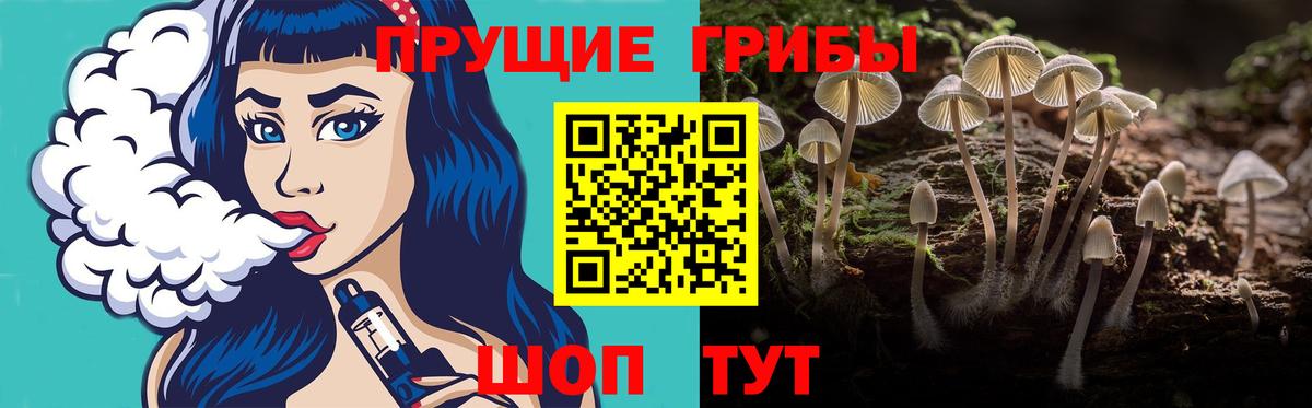 Галлюциногенные грибы Magic Shrooms Златоуст