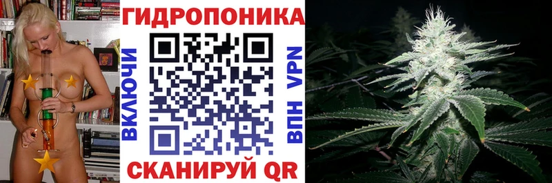 Каннабис SATIVA & INDICA  продажа наркотиков  Златоуст 